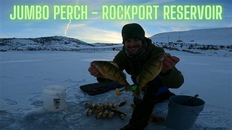 Utah Jumbo Perch 